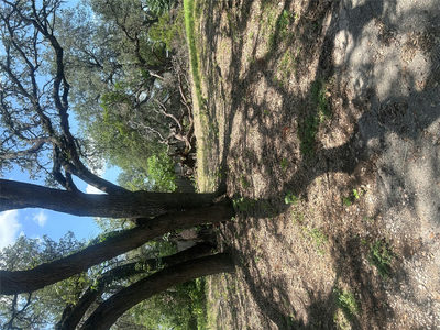 7900 Persimmon Trl — photo 2