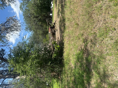 7900 Persimmon Trl — photo 4