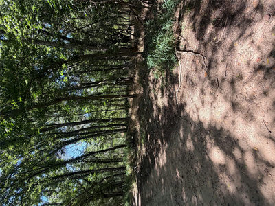 Lot 677 Kaukonahua Ln — photo 3
