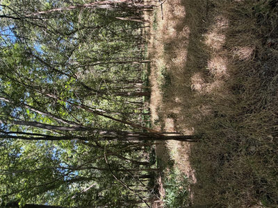 Lot 677 Kaukonahua Ln — photo 2