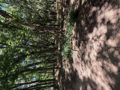 Lot 677 Kaukonahua Ln — photo 5