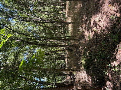 Lot 677 Kaukonahua Ln — photo 4