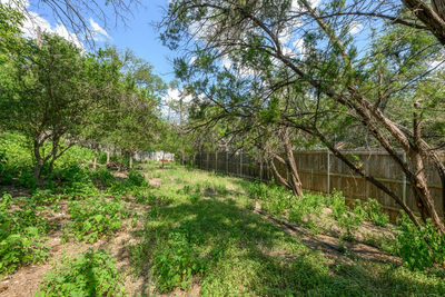 9820 Timber Ridge Pass — photo 2