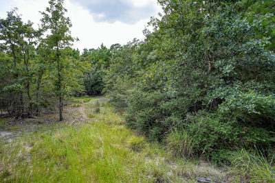 TBD Kipahulu Dr #2 — photo 2