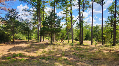 TBD Modock Dr — photo 2