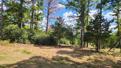 TBD Modock Dr — photo 3