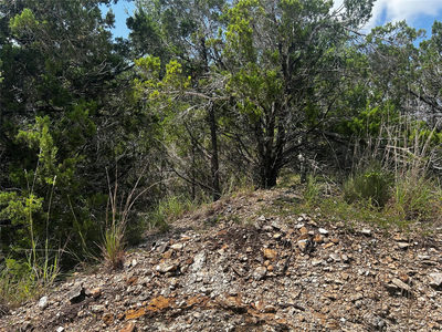 8911 Bar K Ranch Rd — photo 5