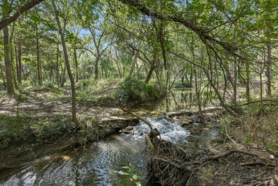 16001 Decker Lake Rd — photo 2