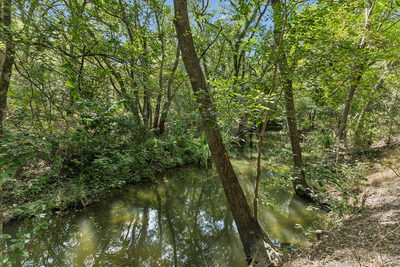 16001 Decker Lake Rd — photo 3