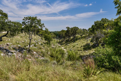 11632 grand summit Blvd — photo 5