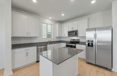 736 Rubber Tree Way — photo 4