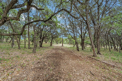 000 Moonridge Ln — photo 5