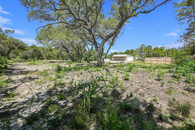 8106 Pitter Pat Ln — photo 5