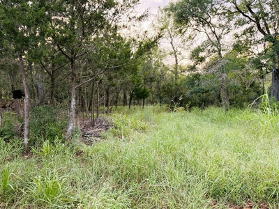 TBD Hilea Ct (lot 626) Hilea Ct — photo 4