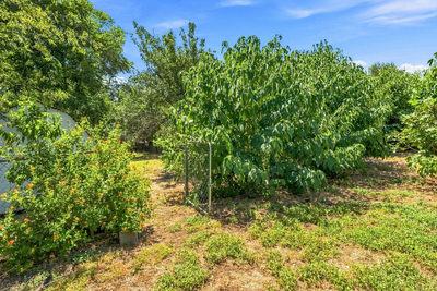 4414 Jinx Ave — photo 4