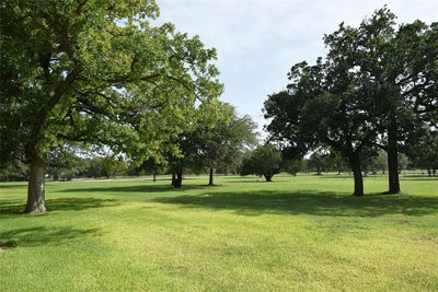 2116 County Road 403 — photo 3