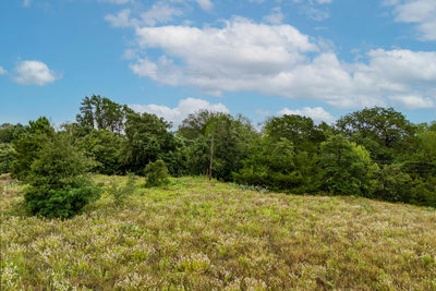 00 Old Sayers Rd — photo 5