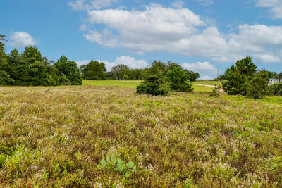 00 Old Sayers Rd — photo 3