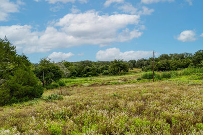 00 Old Sayers Rd — photo 4