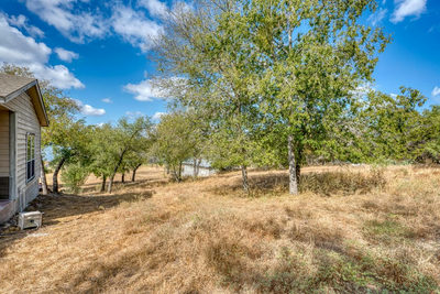 24911 Lake View Dr — photo 3
