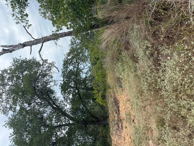 Lots 236 and 237 Kaelepulu Ln — photo 3