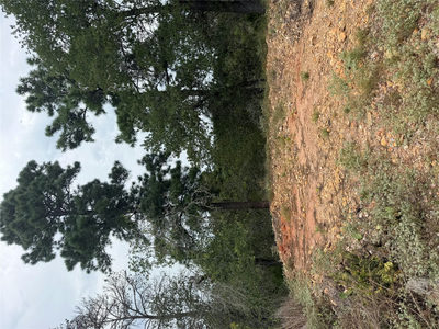 Lots 236 and 237 Kaelepulu Ln — photo 4