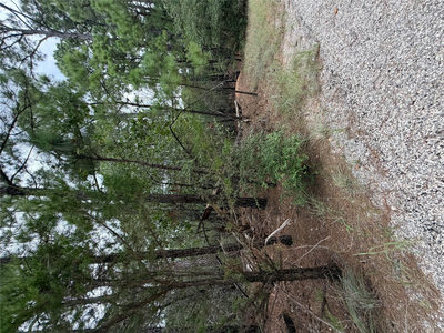 Lots 216 and 217 Hekili Dr — photo 4