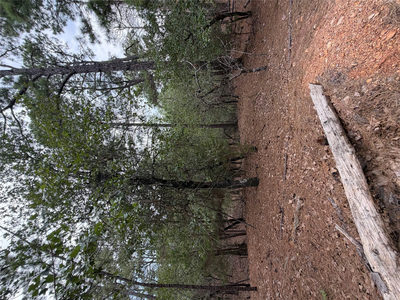 Lots 216 and 217 Hekili Dr — photo 5