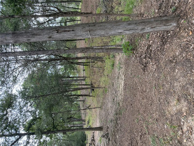 Lot 289 Aka Ct — photo 3
