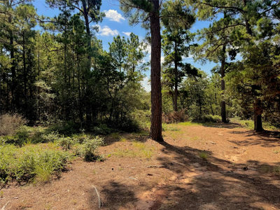 445 Pine Valley Loop — photo 5