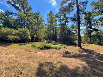 445 Pine Valley Loop — photo 2
