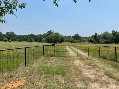 1010 County Road 490 — photo 2