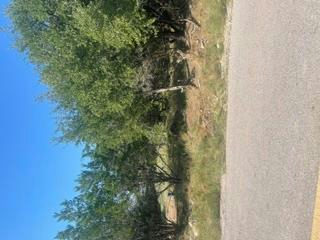 2027 Omaha Dr — photo 2