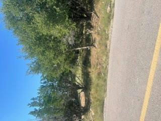 2027 Omaha Dr — photo 5