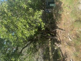 2027 Omaha Dr — photo 3