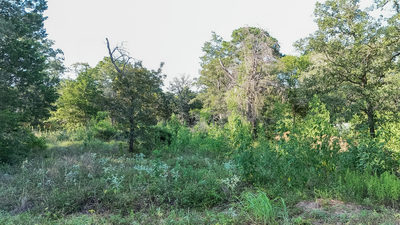 000 Flint Ridge St — photo 3