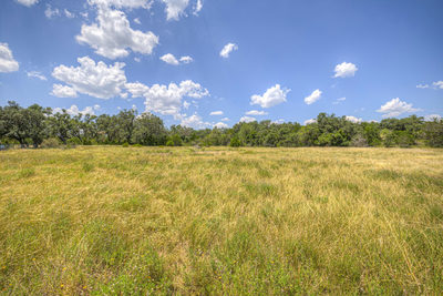 2121 Camino Way — photo 5