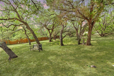 20800 W Colorado Dr — photo 5