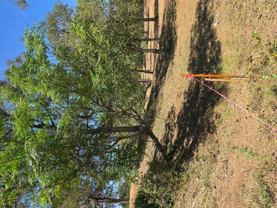 183 Wilbarger Cv — photo 4