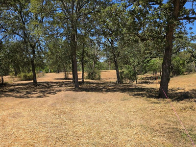 183 Wilbarger Cv — photo 3