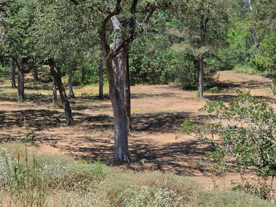 183 Wilbarger Cv — photo 5