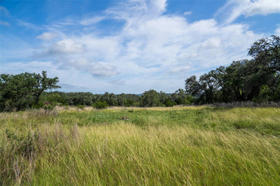 TBD-7 RR 2325 — photo 3