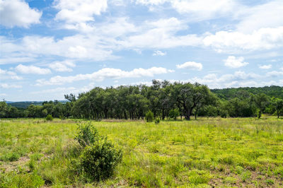 TBD-7 RR 2325 — photo 2