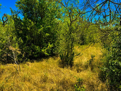 221 Fawn Ridge Rd — photo 4
