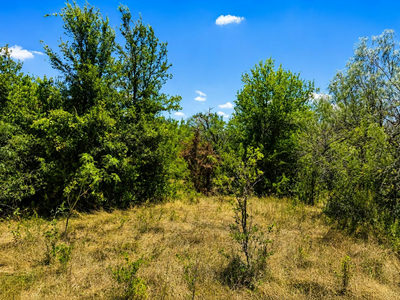 221 Fawn Ridge Rd — photo 5