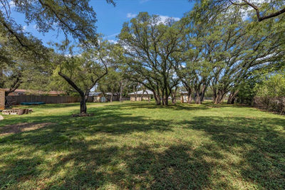 24705 Whitney Dr — photo 3