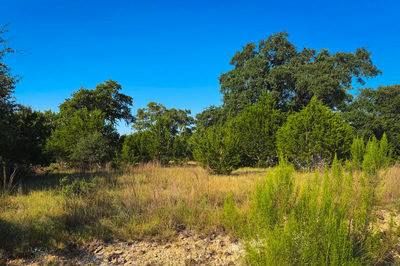 Lot 380 S Calvin Barrett Rd — photo 4