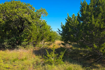 Lot 380 S Calvin Barrett Rd — photo 5