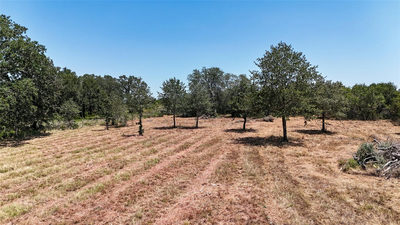 4177 Old Colony Line Rd — photo 4