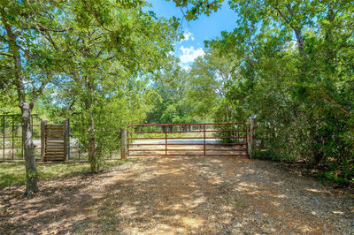 281 Earl Callahan Rd — photo 4